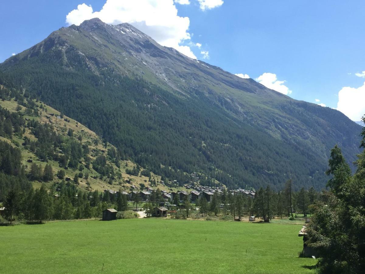 Monte Rosa D 412 Aparthotel Täsch Kültér fotó